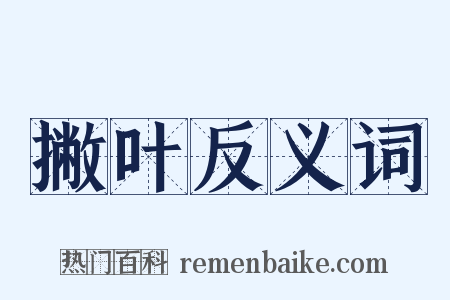 撇叶反义词是什么意思的图片